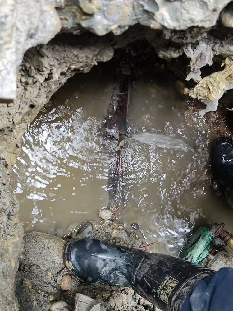 西秀区本地服务：小区水管漏水检测维修